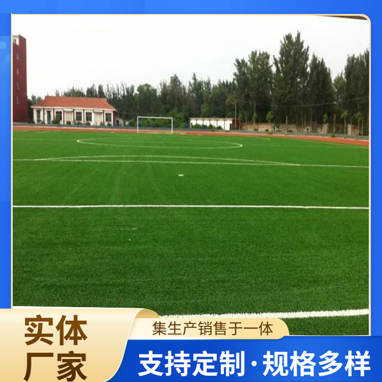 揭阳市篮球场硅PU人造草坪 - 厂家